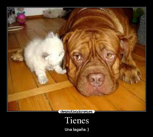 Tienes -