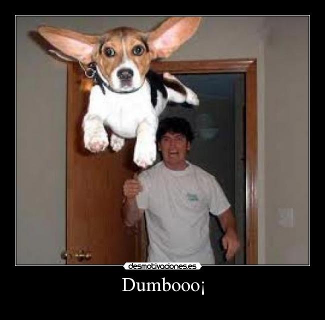 Dumbooo¡ -