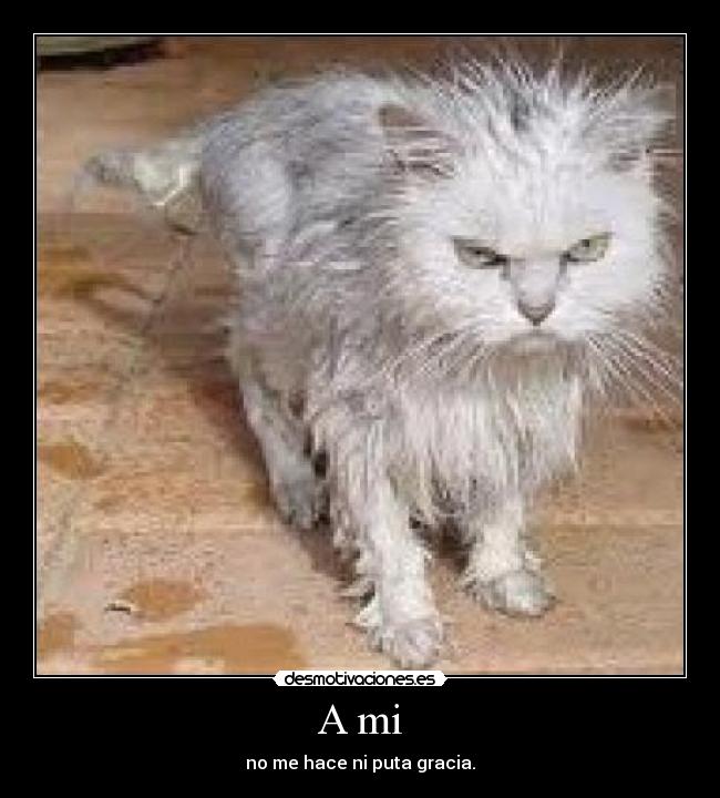 A mi - no me hace ni puta gracia.