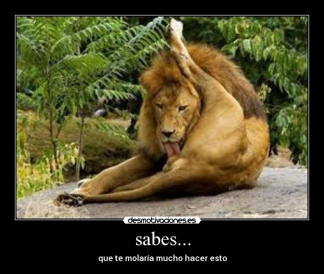 sabes... -