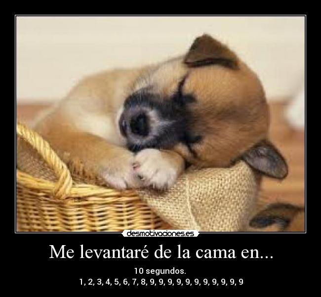 Me levantaré de la cama en... -