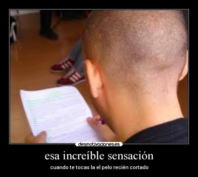 carteles pelo recien cortado desmotivaciones
