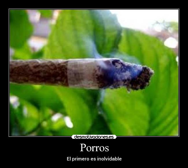 Porros -