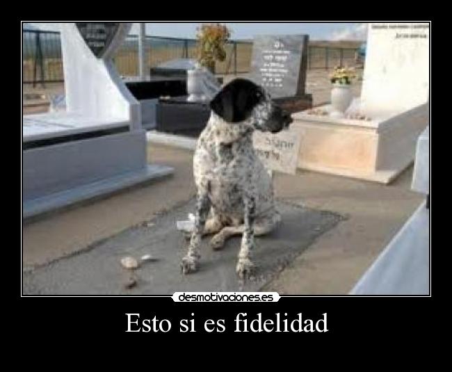 Esto si es fidelidad -