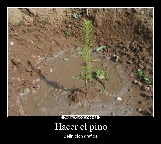 Hacer el pino -