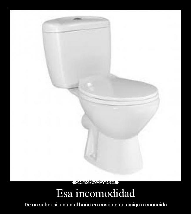 Esa incomodidad - De no saber si ir o no al baño en casa de un amigo o conocido