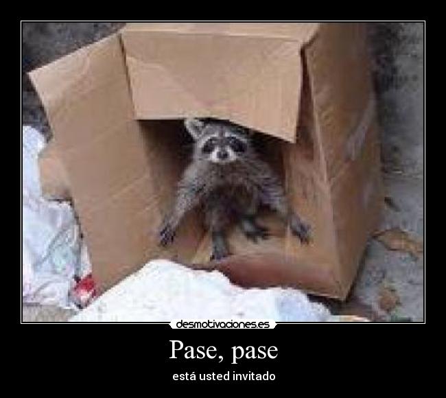 carteles pase pase desmotivaciones