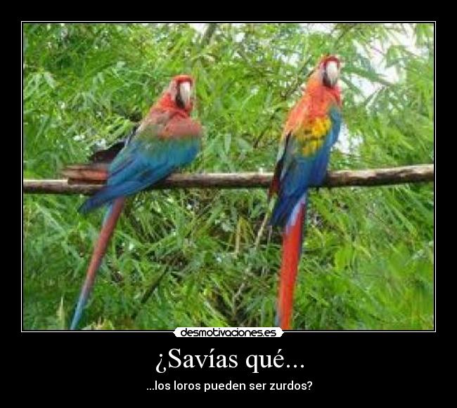 carteles atenea5 desmotivaciones