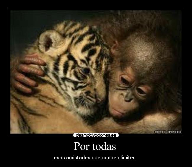 Por todas  - esas amistades que rompen limites...