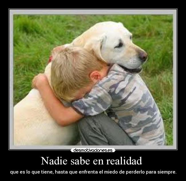 carteles desmotivaciones