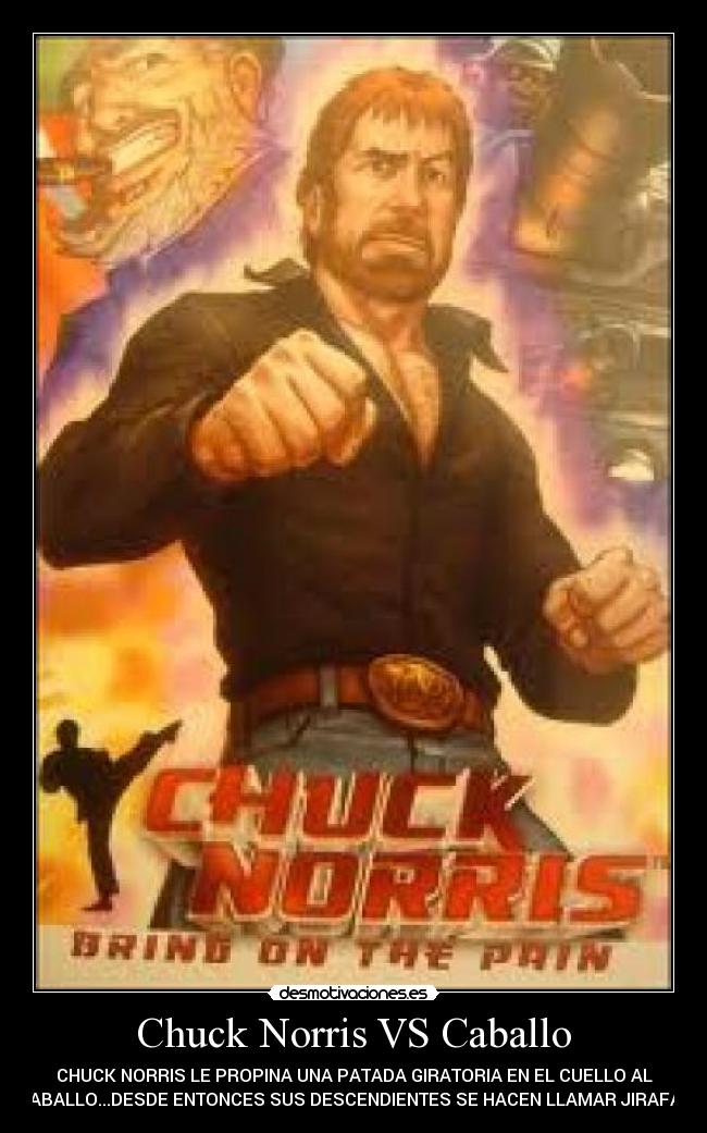 Chuck Norris VS Caballo - 