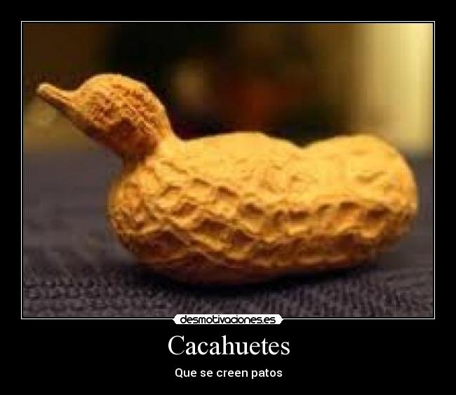 Cacahuetes - 