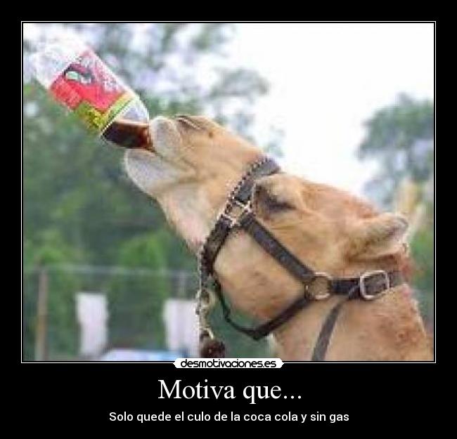 Motiva que... - Solo quede el culo de la coca cola y sin gas