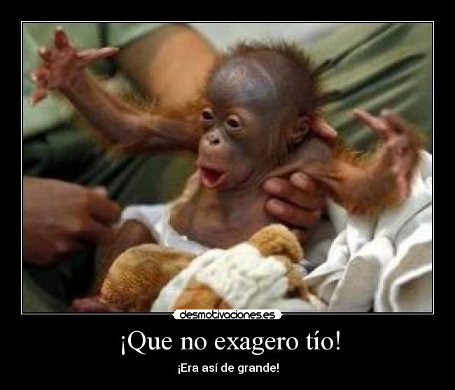 ¡Que no exagero tío! -