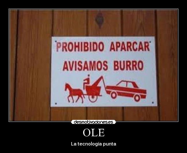 OLE - La tecnología punta