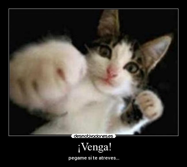 ¡Venga! - pegame si te atreves...