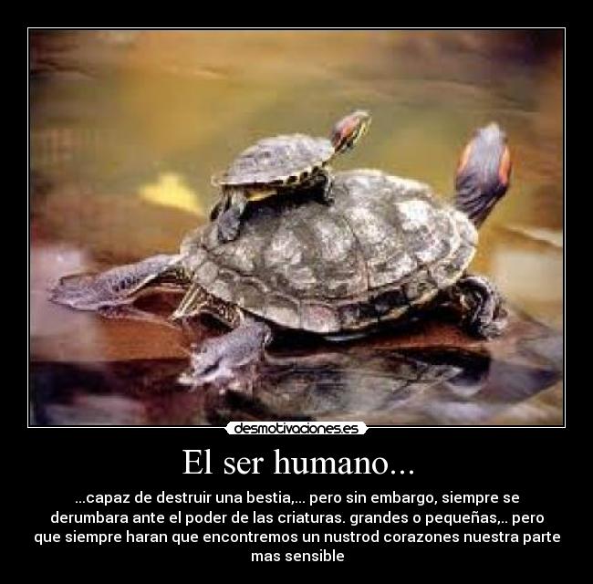 El ser humano... - ...capaz de destruir una bestia,... pero sin embargo, siempre se
derumbara ante el poder de las criaturas. grandes o pequeñas,.. pero
que siempre haran que encontremos un nustrod corazones nuestra parte
mas sensible