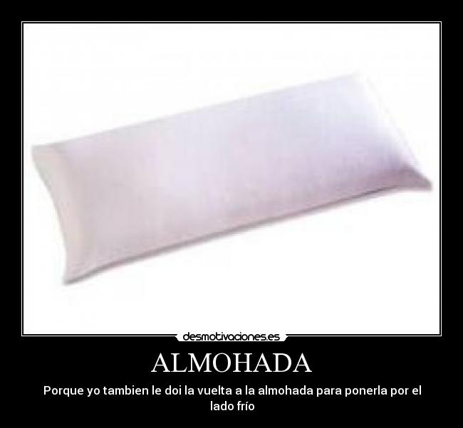 ALMOHADA - 