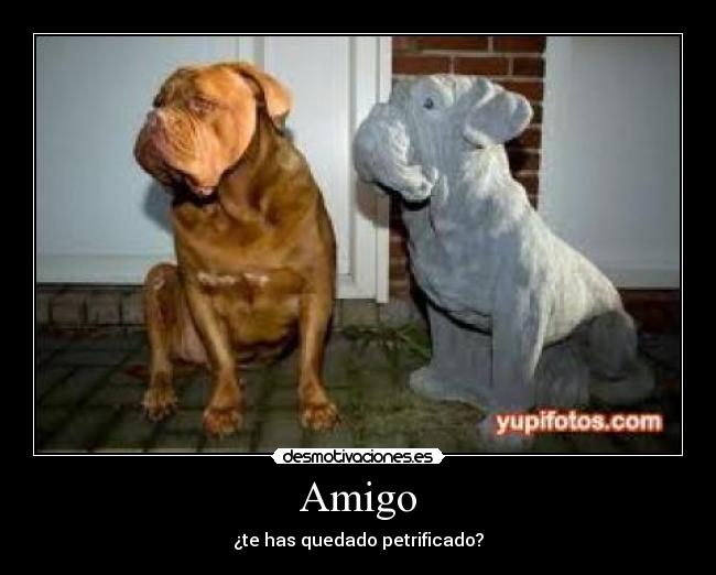 Amigo - 