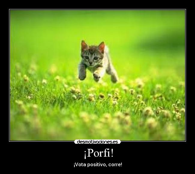 ¡Porfi! -