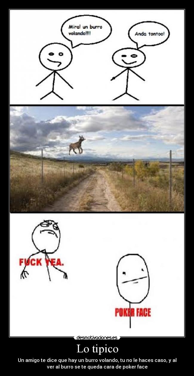 carteles fuck yea poker face burro volando desmotivaciones