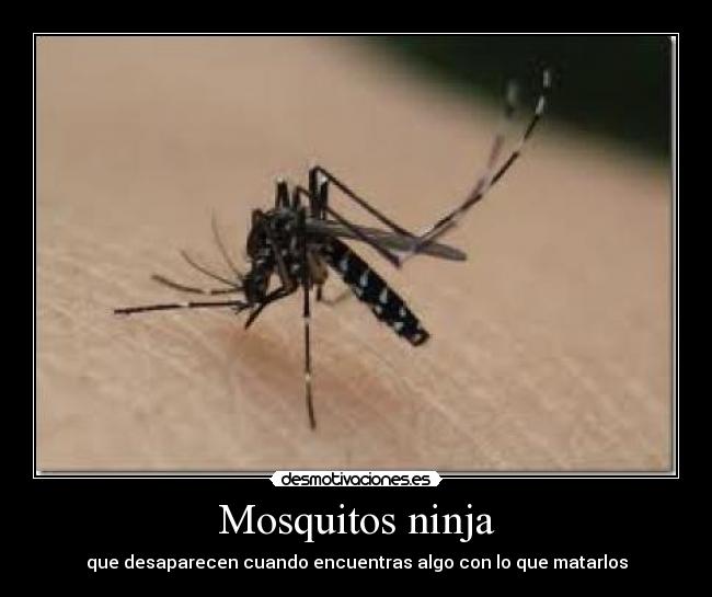 Mosquitos ninja - 