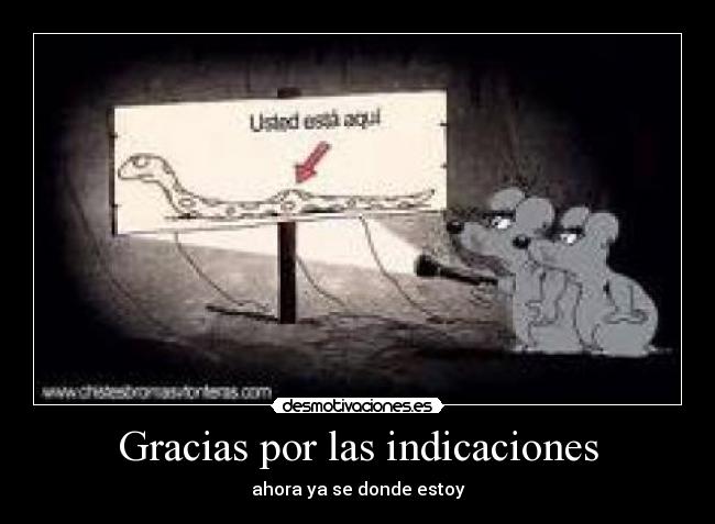 Gracias por las indicaciones - 