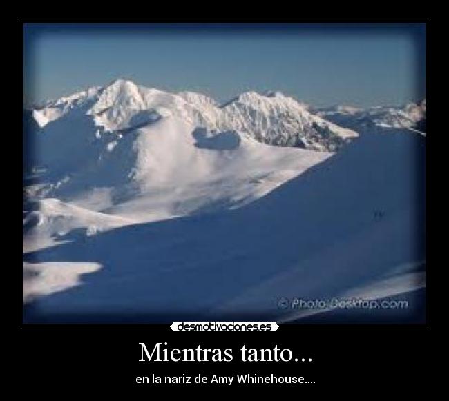 Mientras tanto... - en la nariz de Amy Whinehouse....