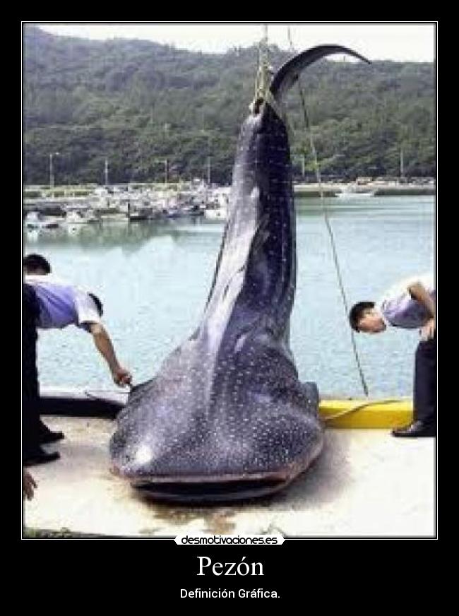 Pezón - Definición Gráfica.