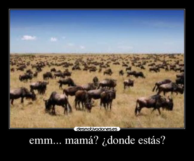 emm... mamá? ¿donde estás? - 