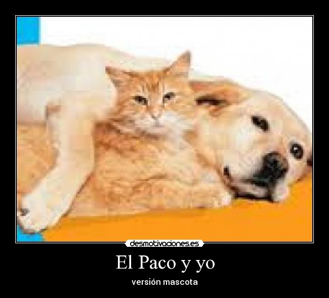 El Paco y yo - 