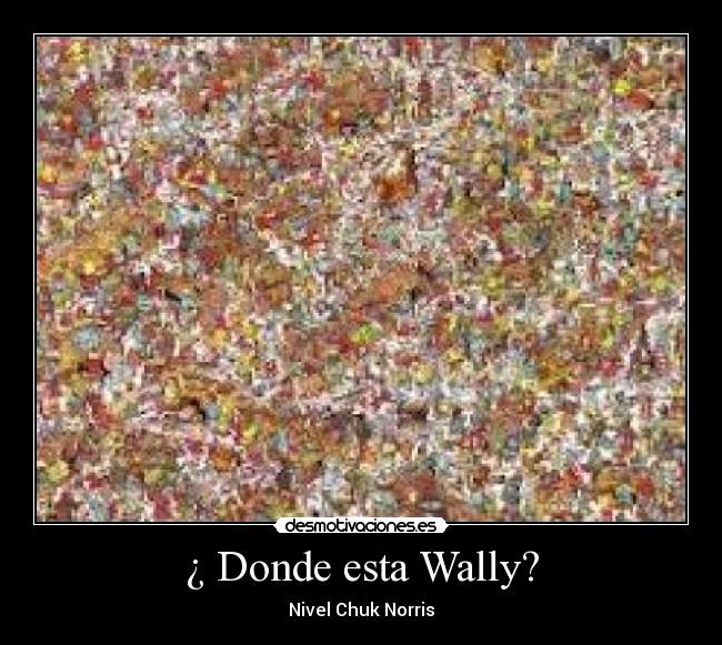 ¿ Donde esta Wally? -