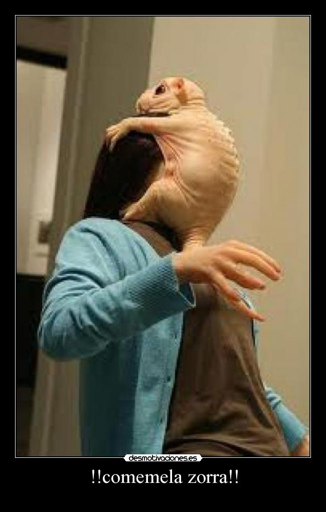 !!comemela zorra!! -