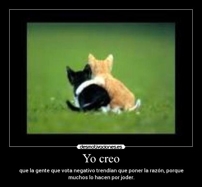 Yo creo - que la gente que vota negativo trendían que poner la razón, porque
muchos lo hacen por joder.