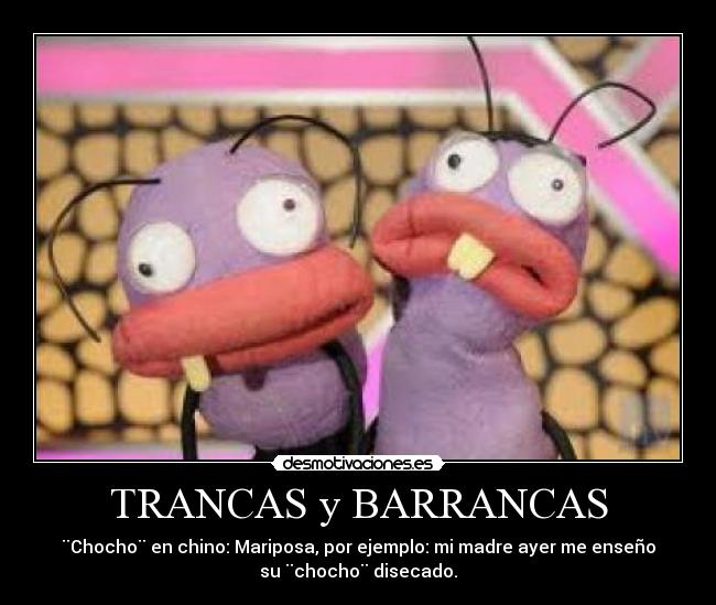 TRANCAS y BARRANCAS - ¨Chocho¨ en chino: Mariposa, por ejemplo: mi madre ayer me enseño
su ¨chocho¨ disecado.