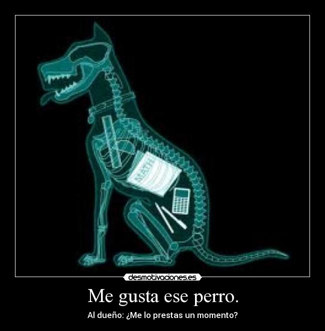 Me gusta ese perro. - Al dueño: ¿Me lo prestas un momento?