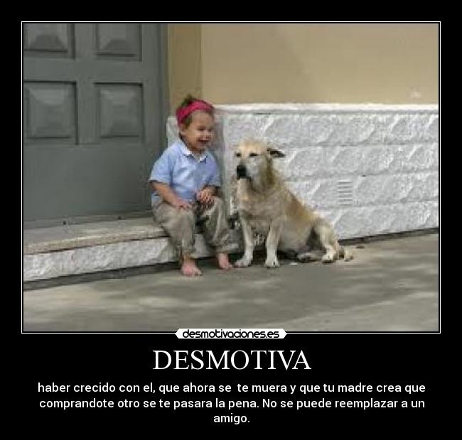 DESMOTIVA - haber crecido con el, que ahora se te muera y que tu madre crea que
comprandote otro se te pasara la pena. No se puede reemplazar a un
amigo.