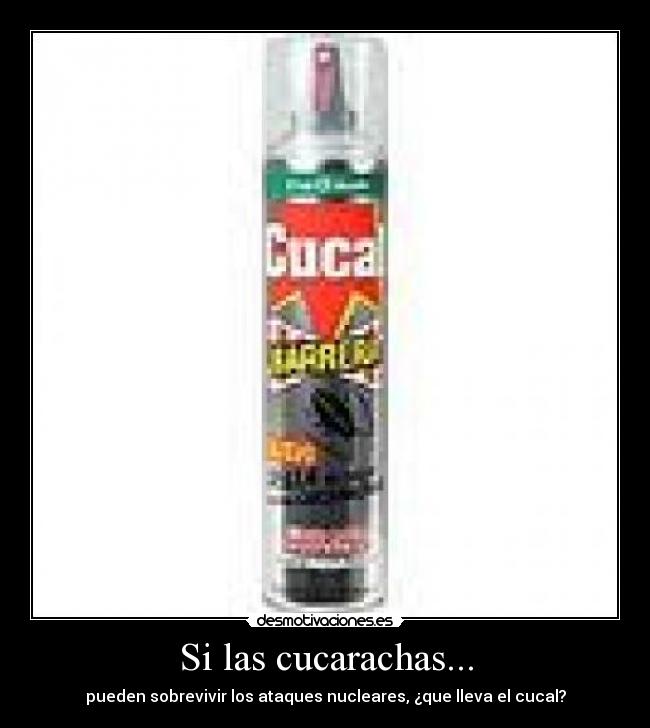 Si las cucarachas... -