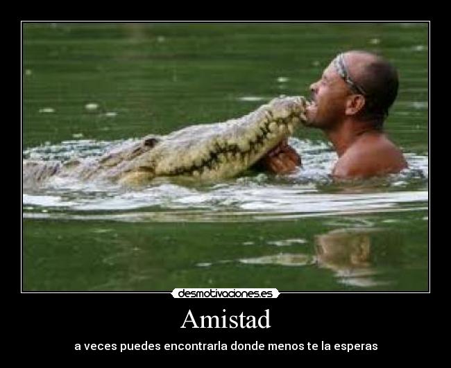 Amistad -