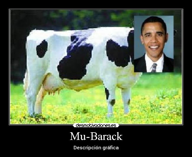 Mu-Barack - Descripción gráfica