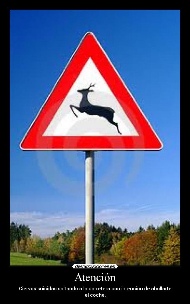 Atención - Ciervos suicidas saltando a la carretera con intención de abollarte el coche.