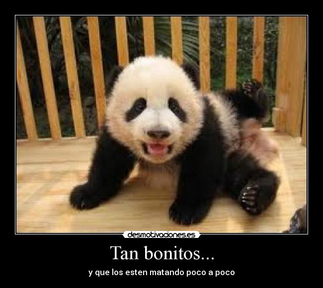 Tan bonitos... - y que los esten matando poco a poco