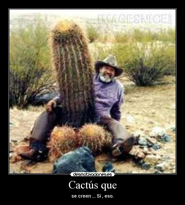 Cactús que - 