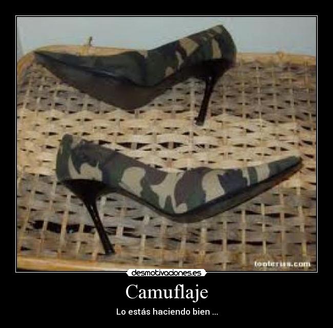 Camuflaje - Lo estás haciendo bien ...
