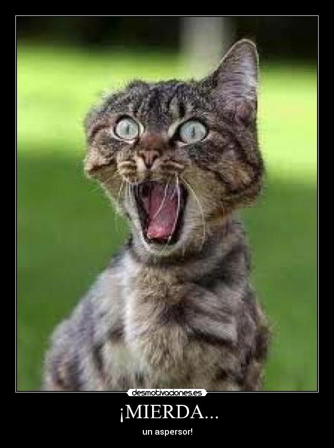 ¡MIERDA... -