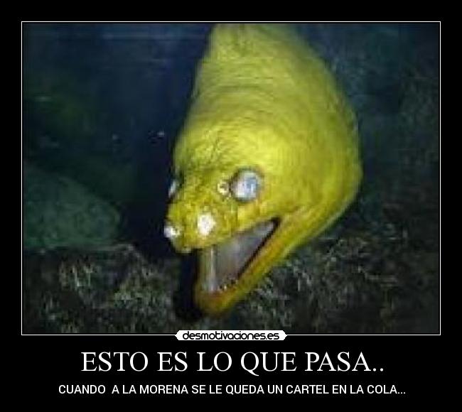 ESTO ES LO QUE PASA.. - 