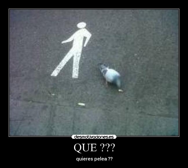 QUE ??? - quieres pelea ??