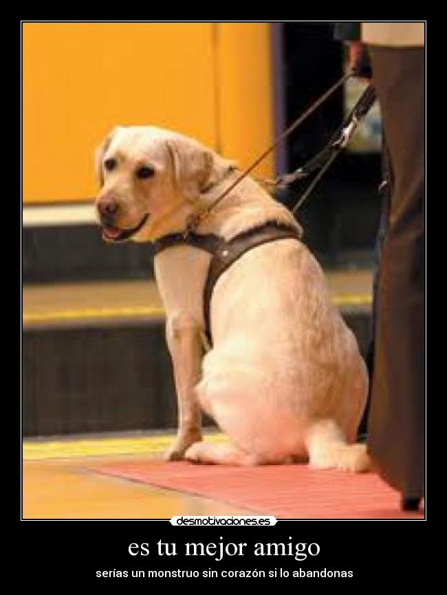 es tu mejor amigo -