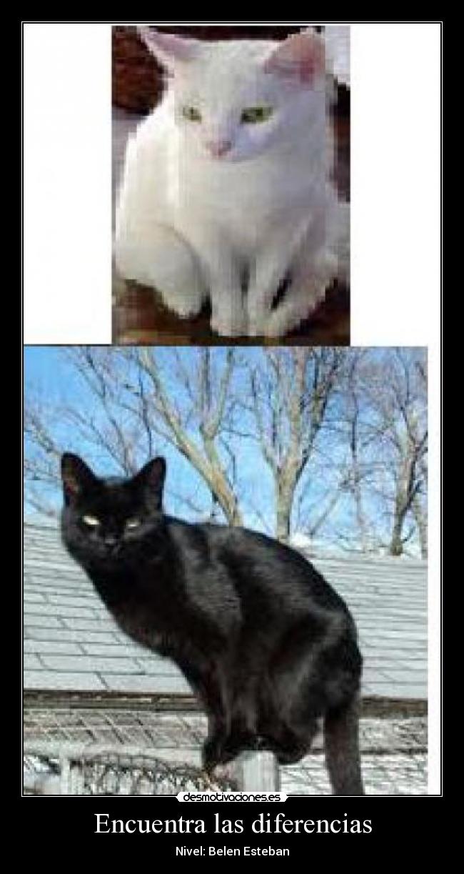 Encuentra las diferencias - 