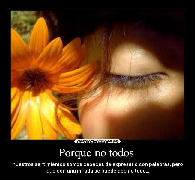 Porque no todos -
